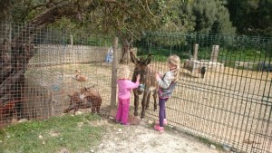 Agrotourismus, Mallorca, Kinder, Urlaub, Ferien, Finca, Tiere