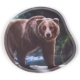 Perfekt für kleine Entdecker und Grundschulkinder: ergobag Kontur-Klettie Grizzly Bär von Ergobag eignet sich hervorragend für marken/ergobag. Ideal für aktive Kinder – praktisch
