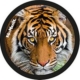 Perfekt für kleine Entdecker und Grundschulkinder: McNeill McAddys gefährliche Tiere Tiger von McNeill eignet sich hervorragend für marken/mcneill/mcneill mcaddys + anhänger. Robust verarbeitet und optimal auf die Bedürfnisse von Kindern abgestimmt. Entdecke weitere Produkte auf https://www.kekula.de.