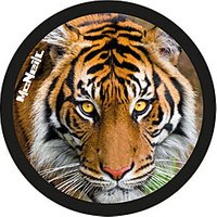 Perfekt für kleine Entdecker und Grundschulkinder: McNeill McAddys gefährliche Tiere Tiger von McNeill eignet sich hervorragend für marken/mcneill/mcneill mcaddys + anhänger. Robust verarbeitet und optimal auf die Bedürfnisse von Kindern abgestimmt. Entdecke weitere Produkte auf https://www.kekula.de.