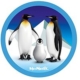 Für einen gelungenen Start in den Schulalltag: McNeill McAddys Unterwasser Pinguine von McNeill eignet sich hervorragend für marken/mcneill/mcneill mcaddys + anhänger. Mit kindgerechtem Design