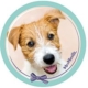 Ideal für den Schulalltag in der Grundschule: McNeill McAddys Haustiere Hund grün von McNeill eignet sich hervorragend für marken/mcneill/mcneill mcaddys + anhänger. Ideal für aktive Kinder – praktisch