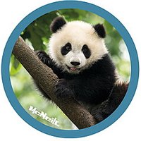 Speziell für Kinder in der Grundschule entwickelt: McNeill McAddys Dschungel Panda von McNeill eignet sich hervorragend für marken/mcneill/mcneill mcaddys + anhänger. Mit durchdachten Details für mehr Spaß und Ordnung im Schulranzen. Weitere passende Produkte für Kinder und Schule gibt es auf https://www.kekula.de.